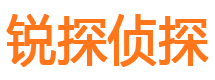 察隅市侦探调查公司